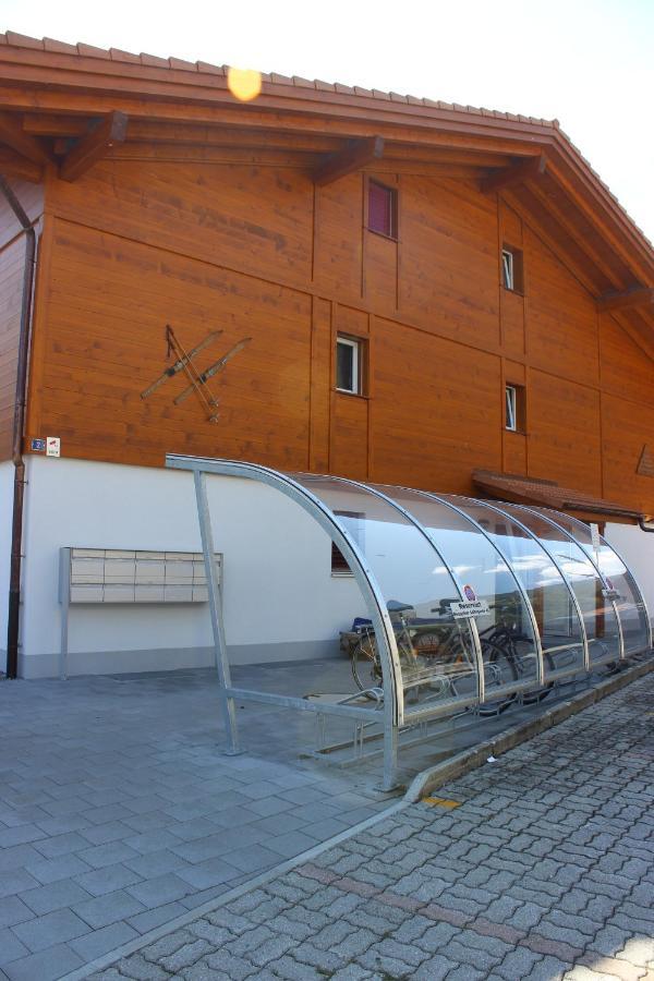 Moench Apartment - Aare Jungfrau Ag Wilderswil Eksteriør bilde